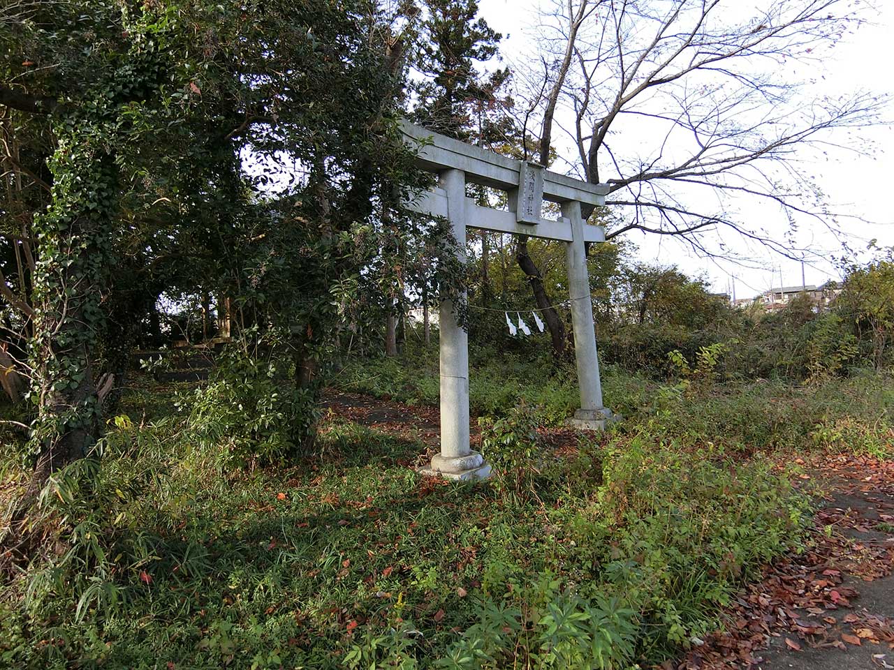 写真