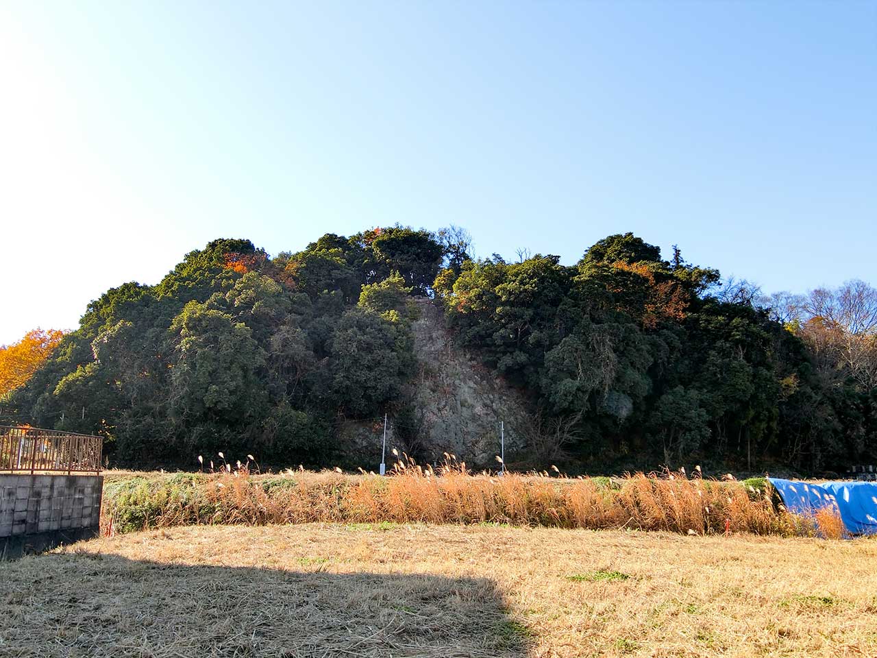 写真