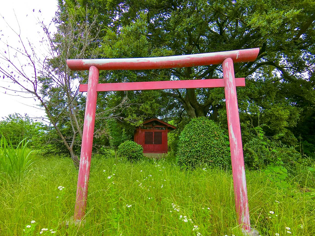 写真