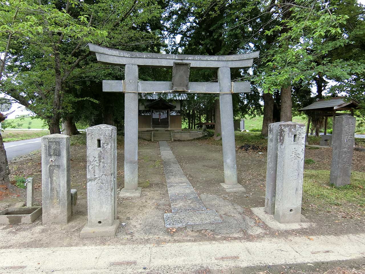 写真