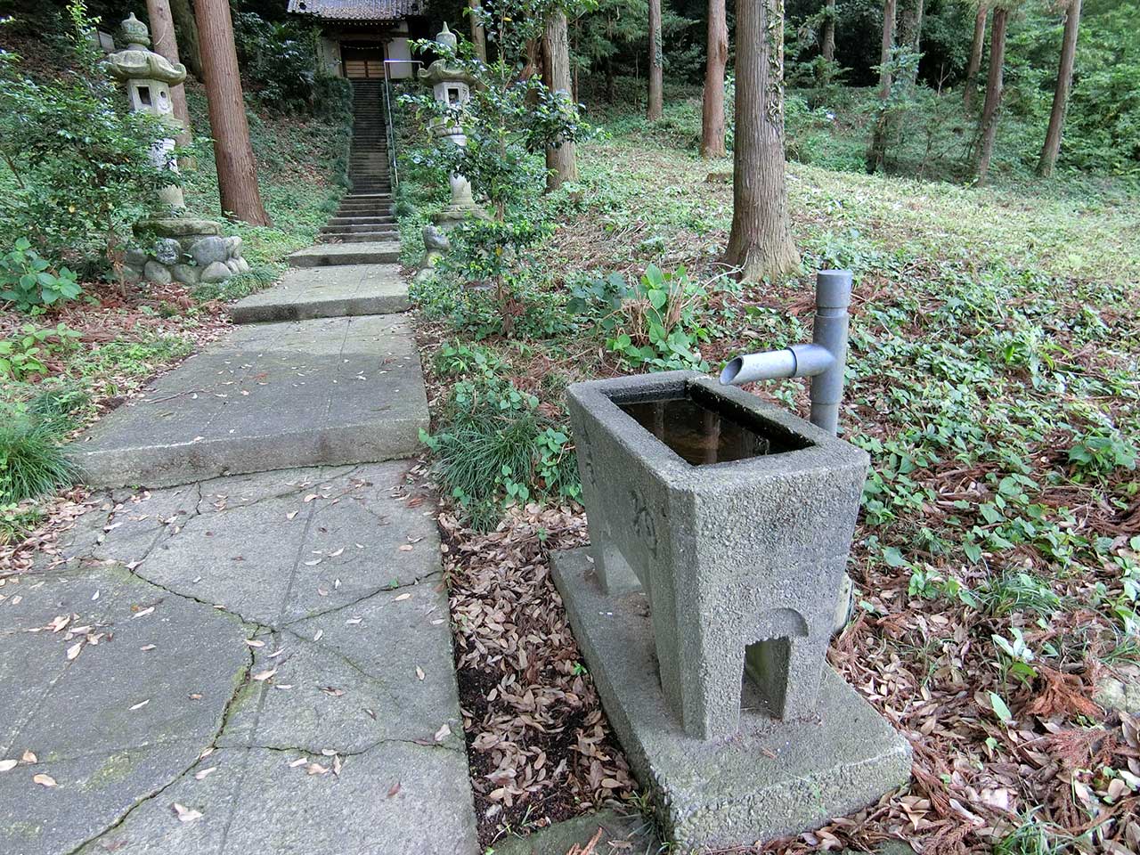 写真