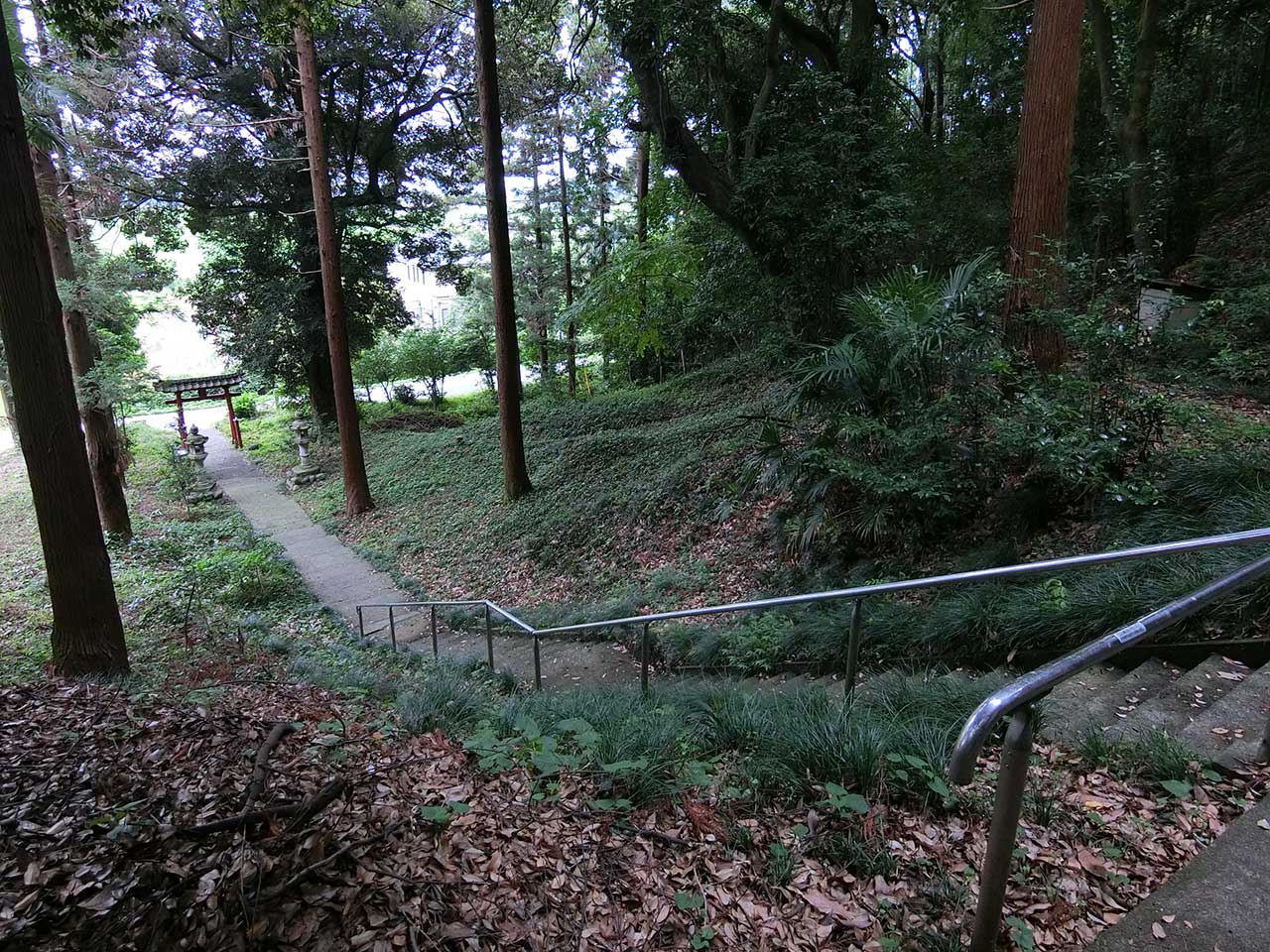 写真