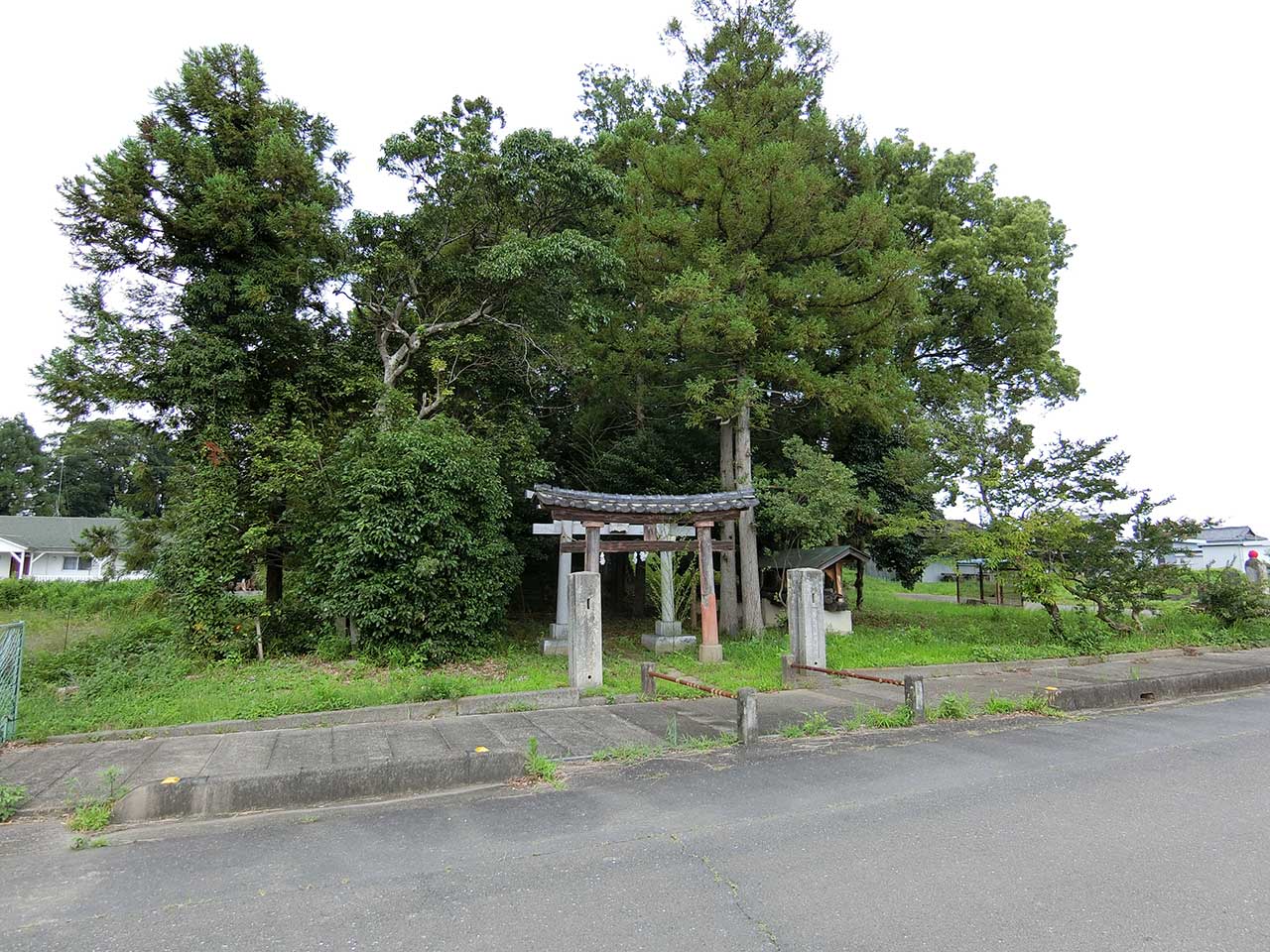 写真