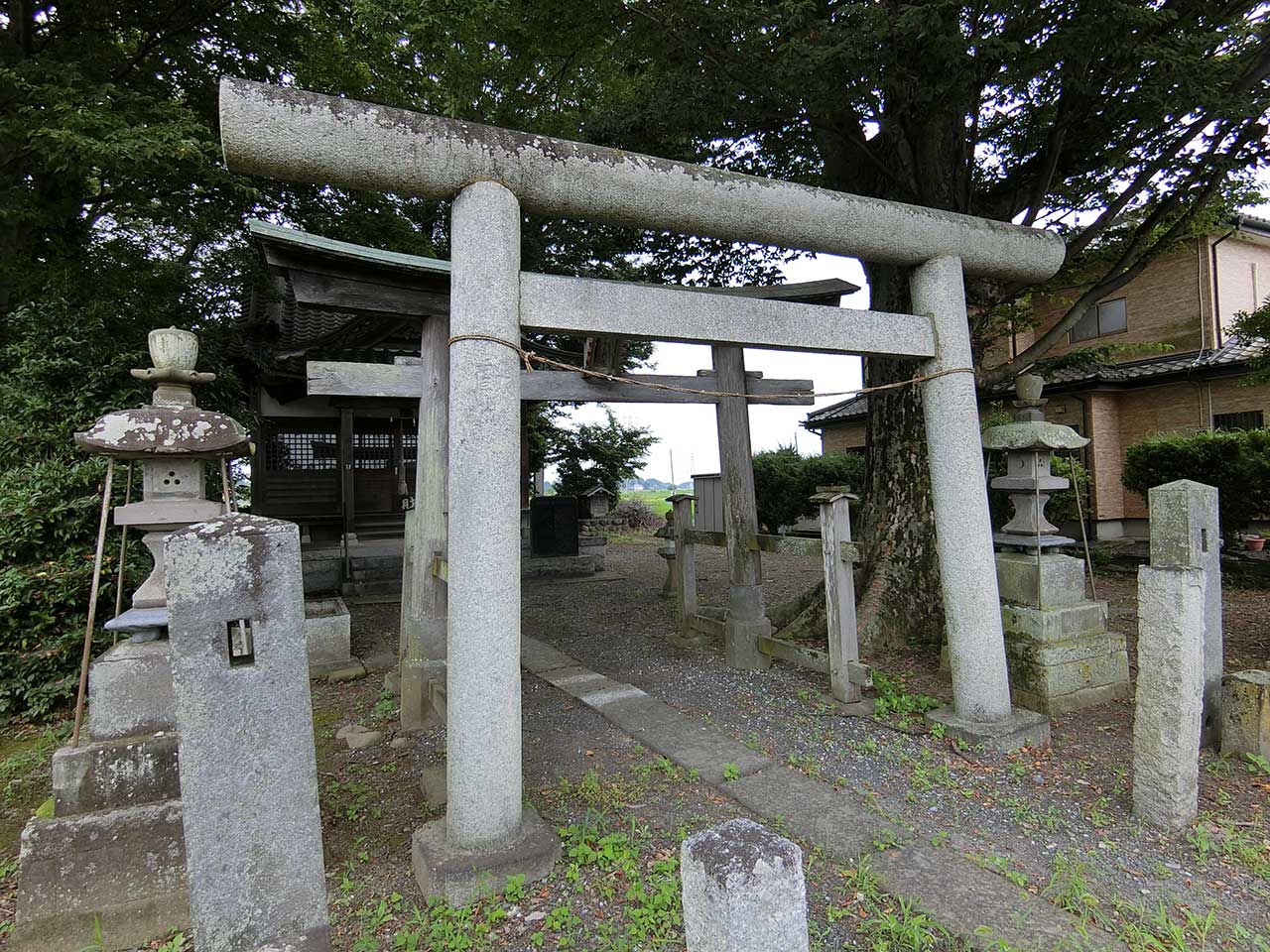 写真