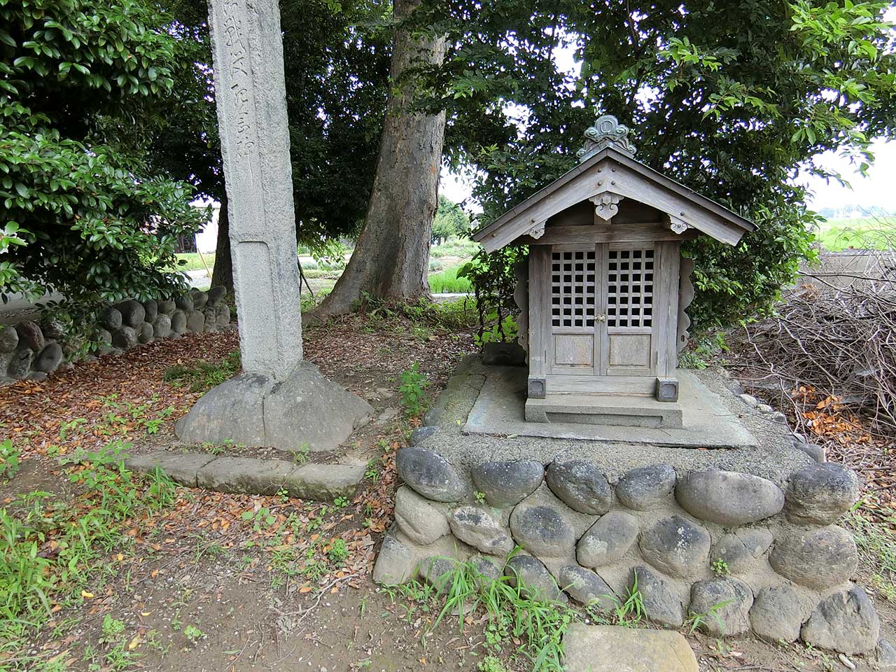 写真