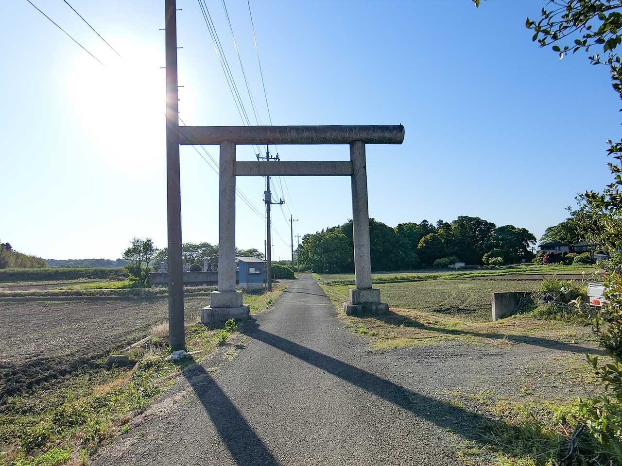 写真