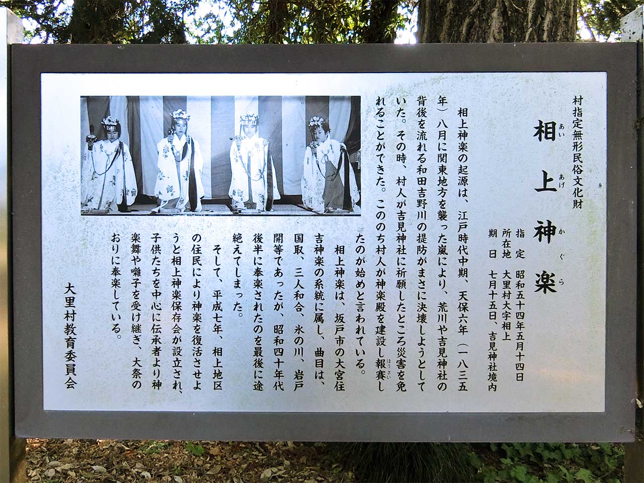 写真