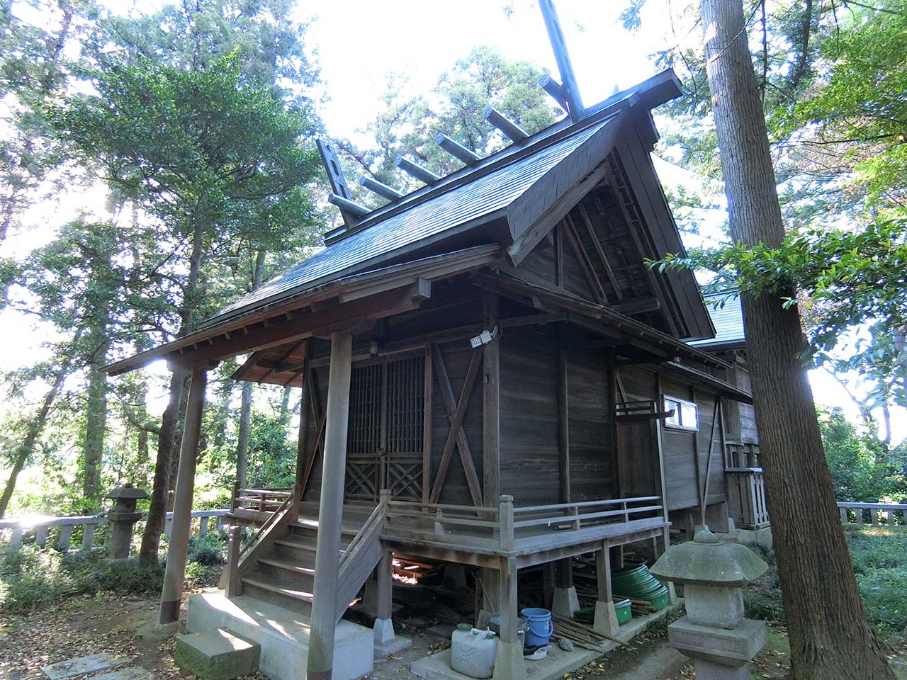 写真