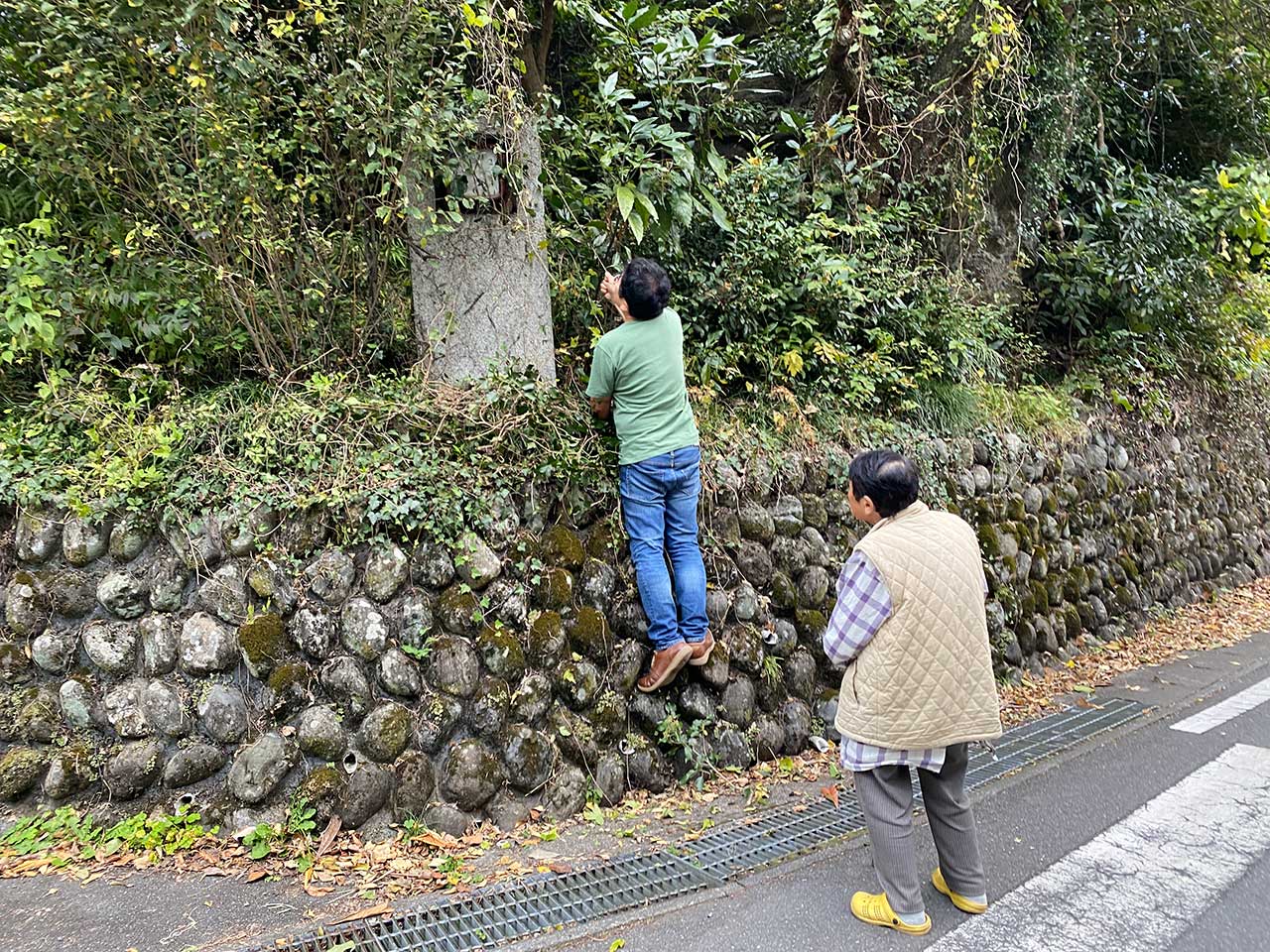 写真