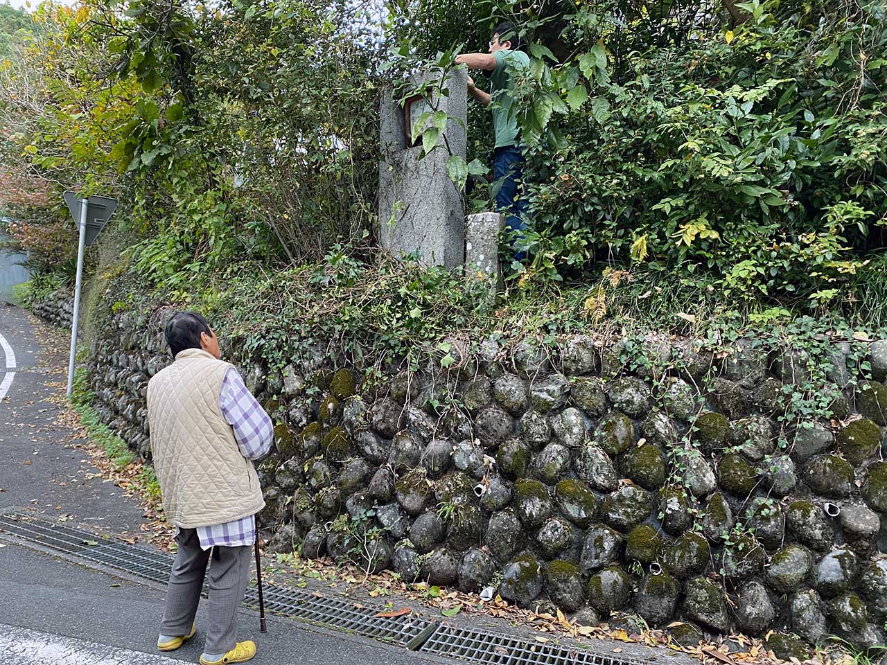 写真