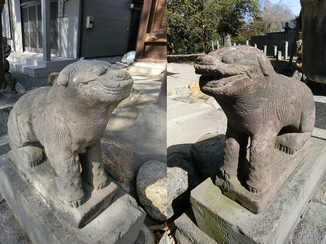 写真