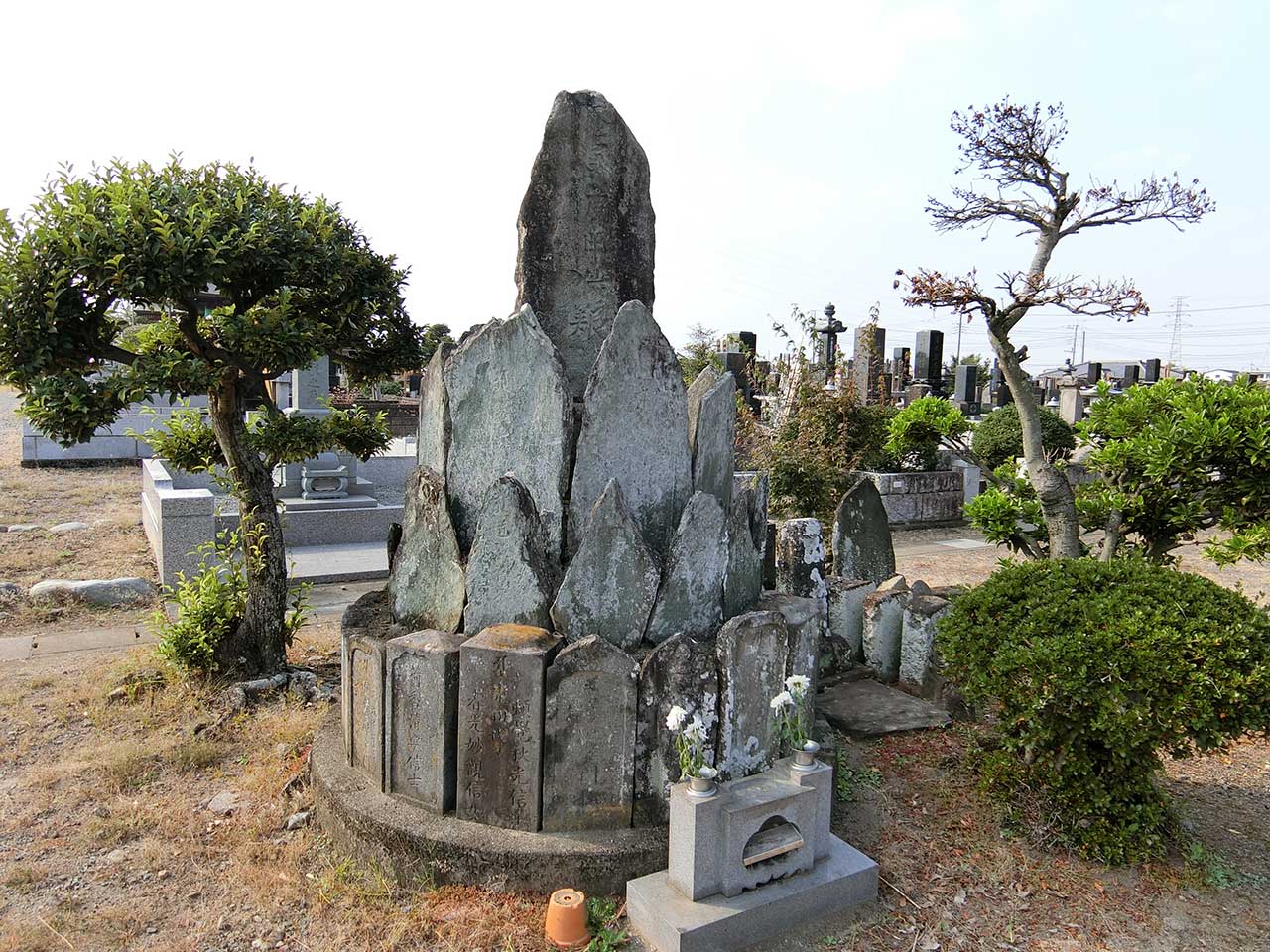 写真