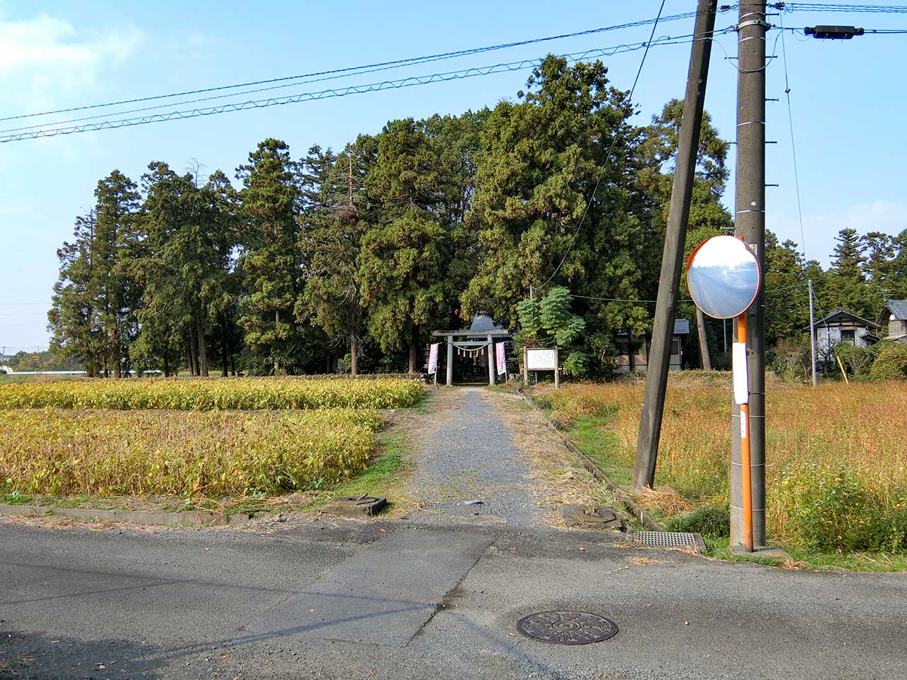 写真