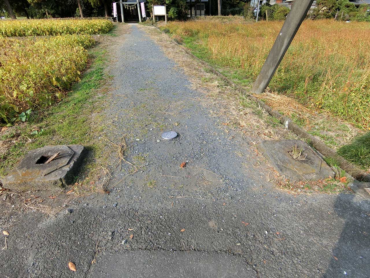 写真