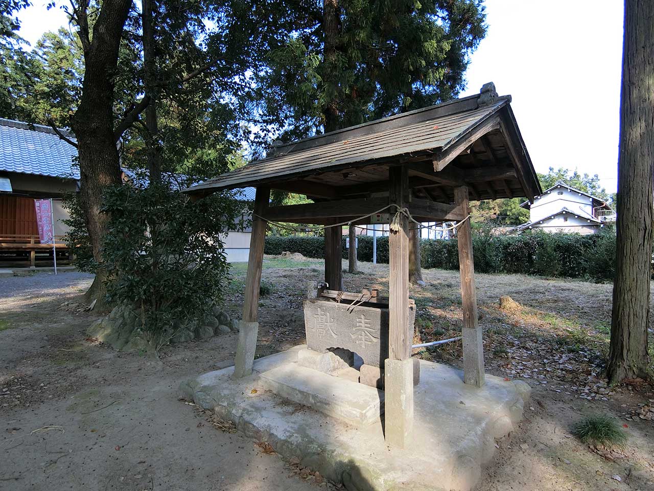 写真