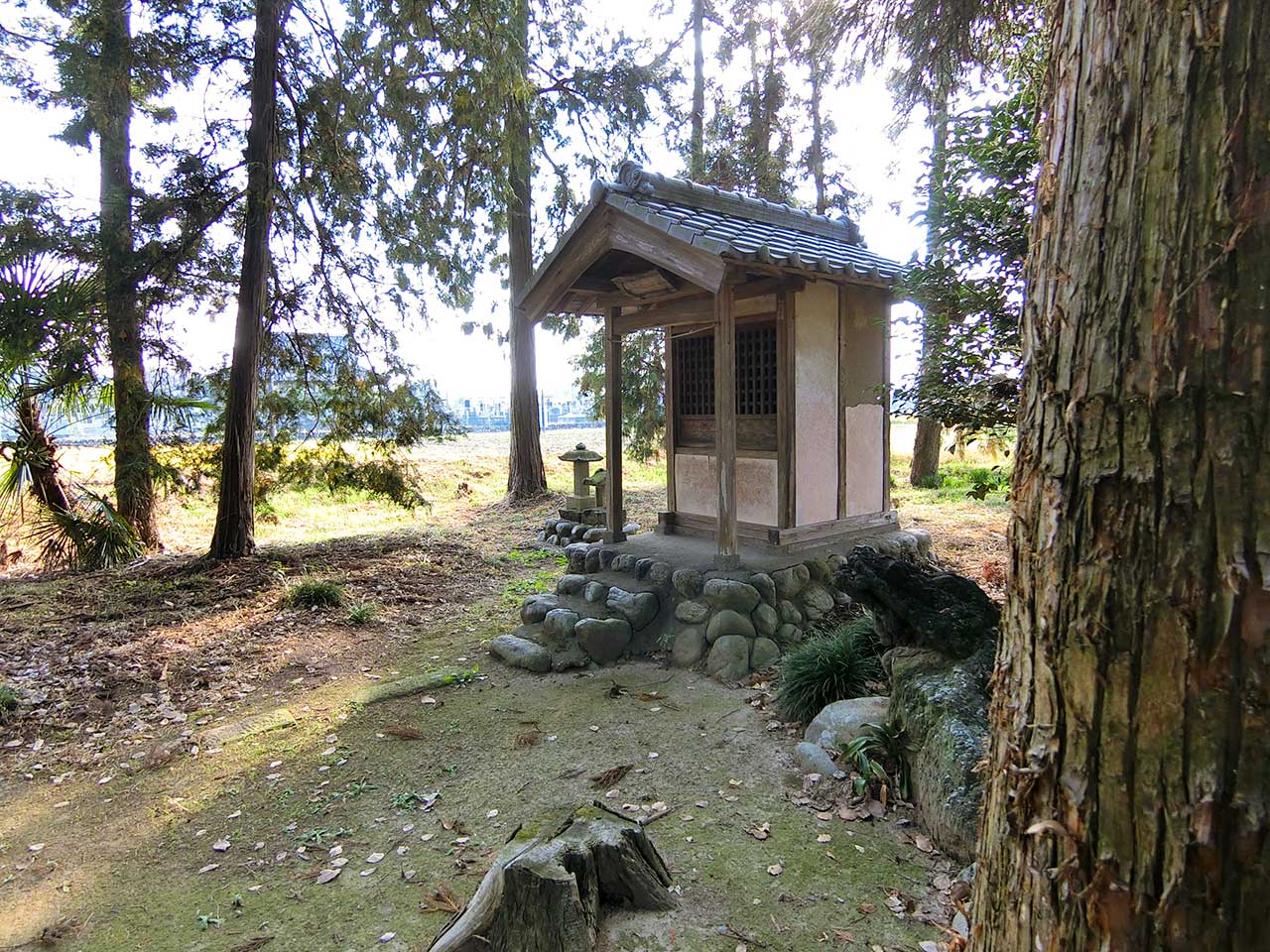 写真